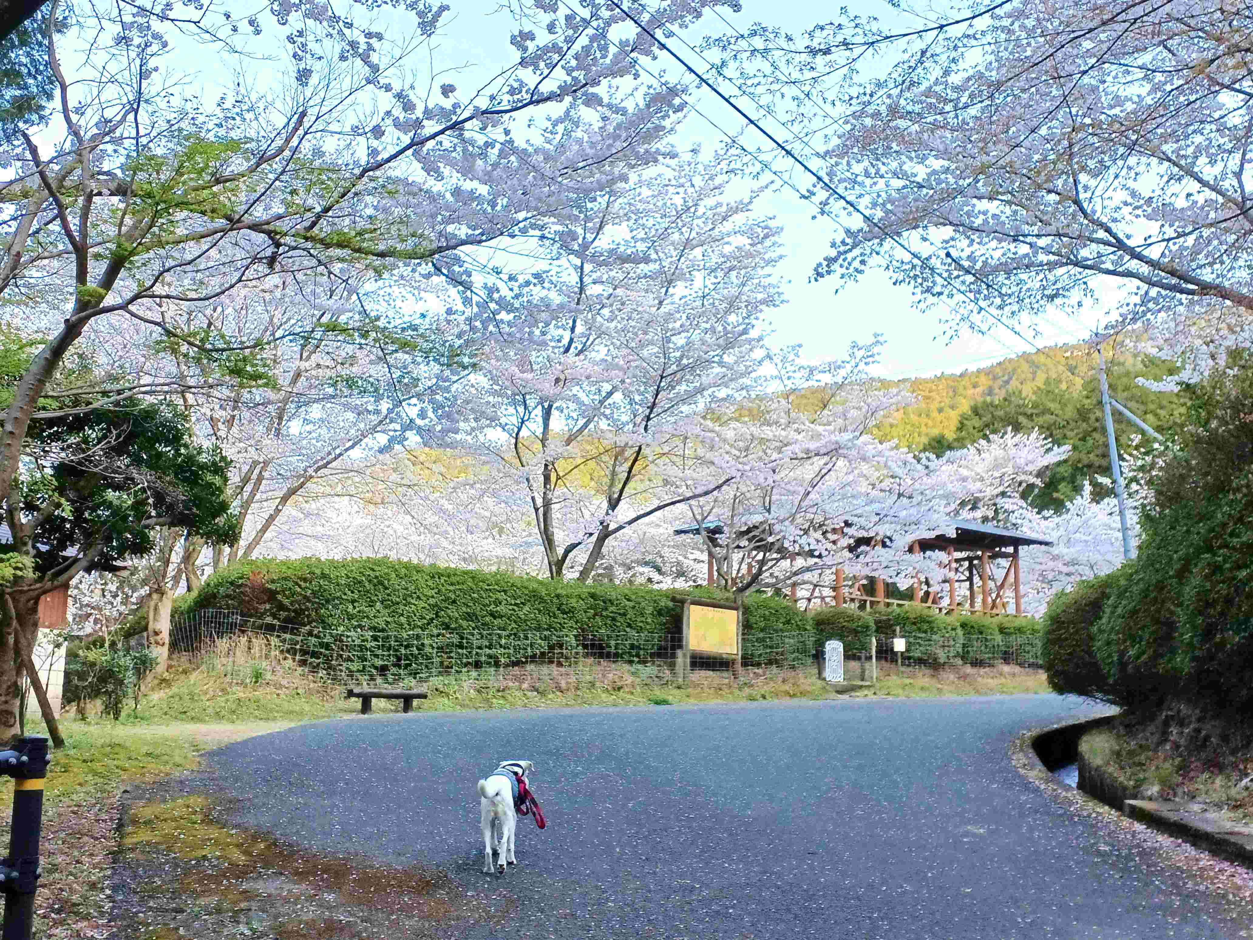 広場前とジョン