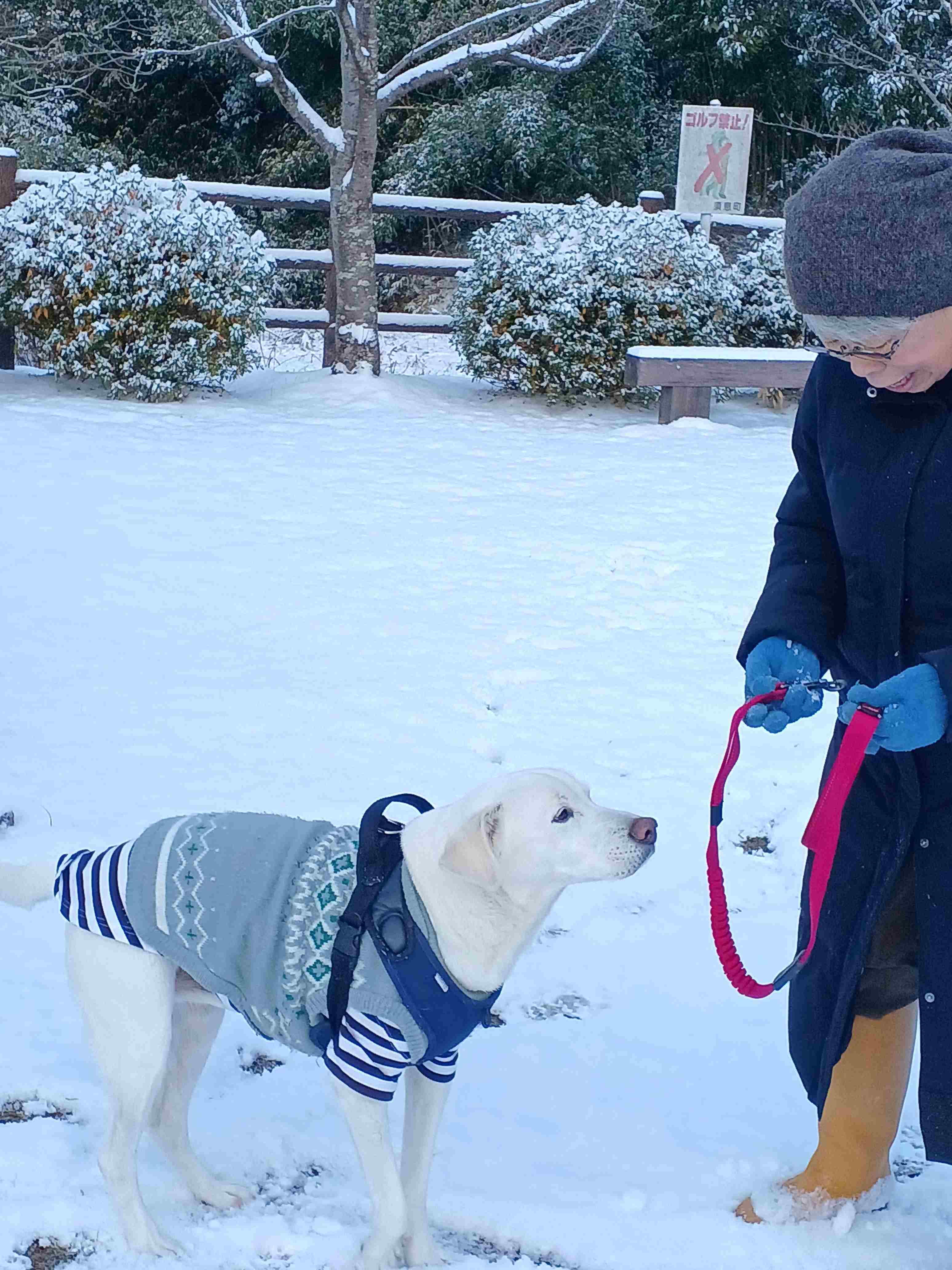 ジョンと先生１