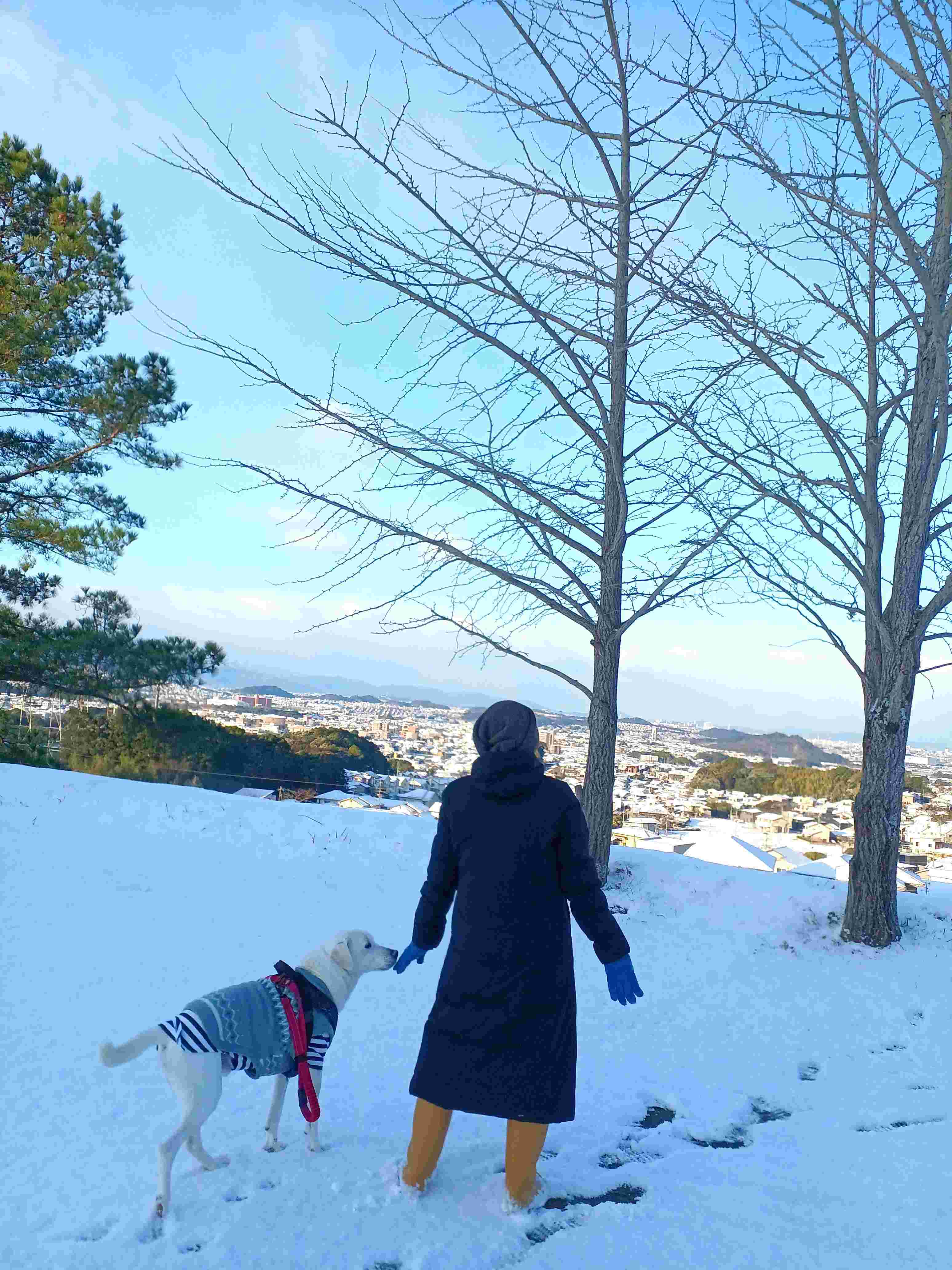 ジョンと先生２