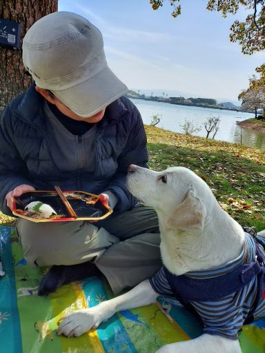 駕与丁のジョン