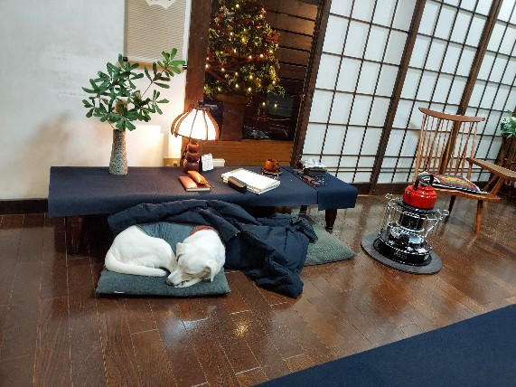 ジョンの寝顔４