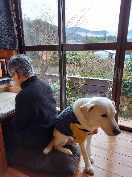 先生とジョン３