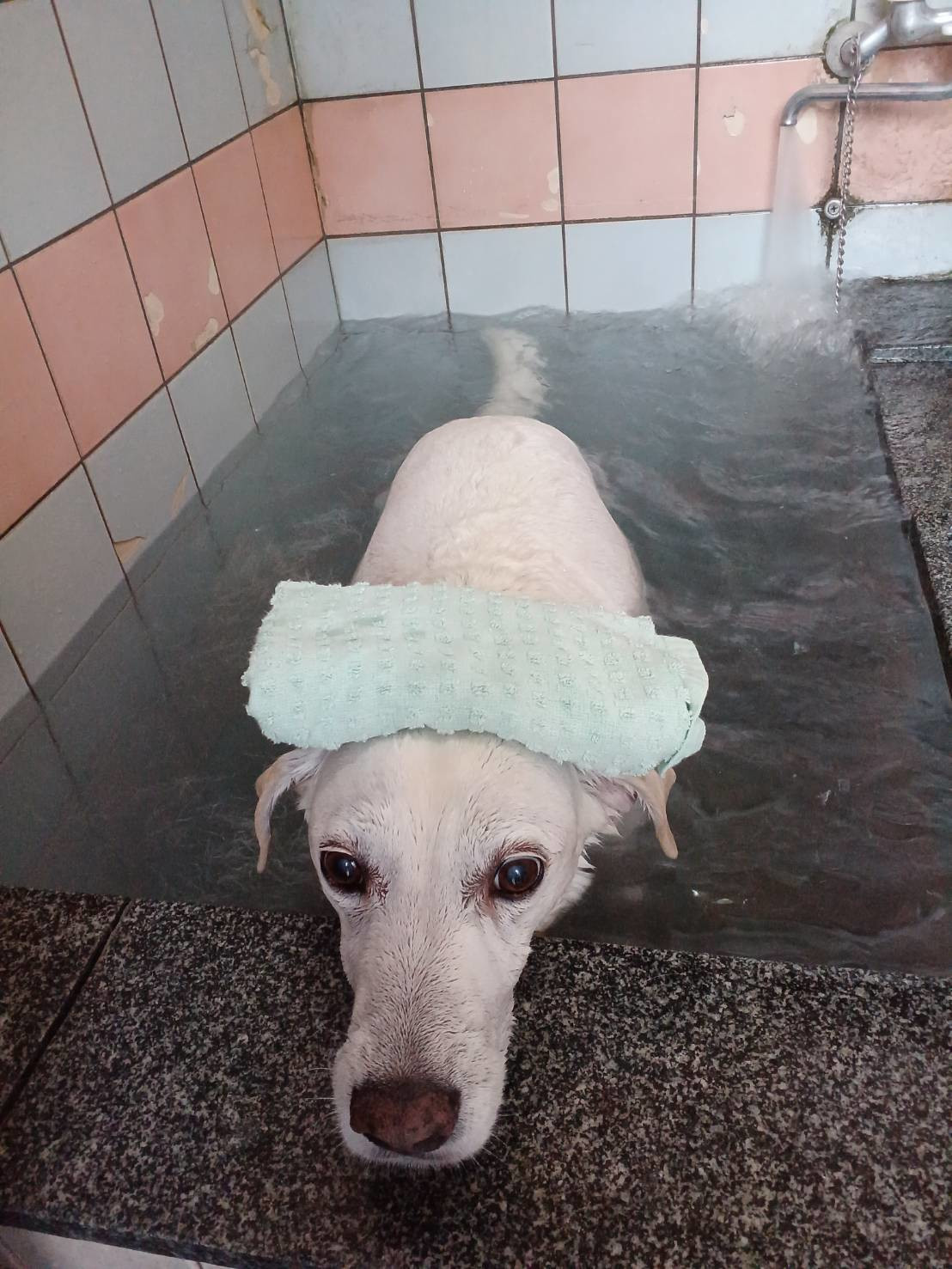 温泉のジョン２