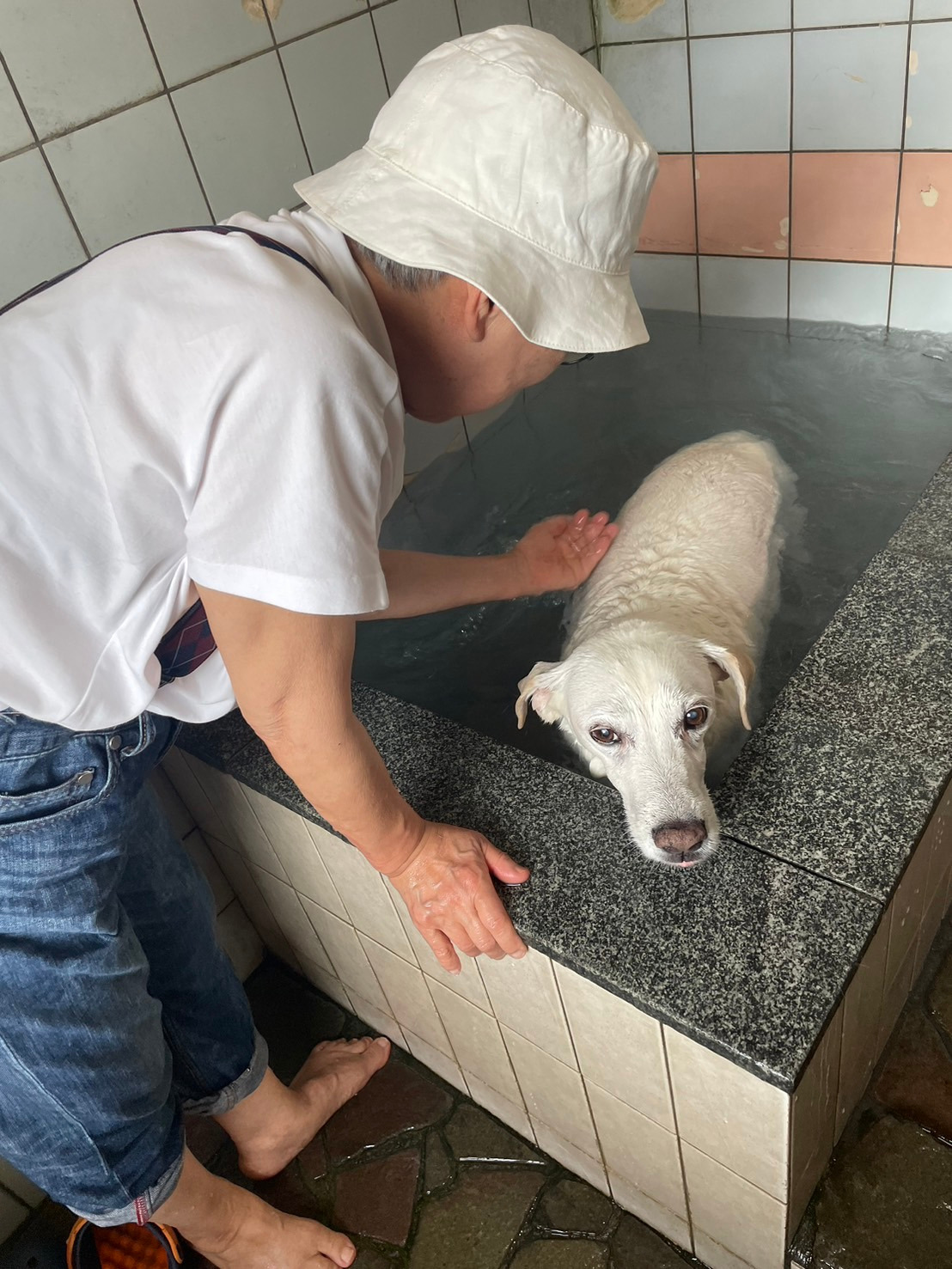 温泉のジョン１