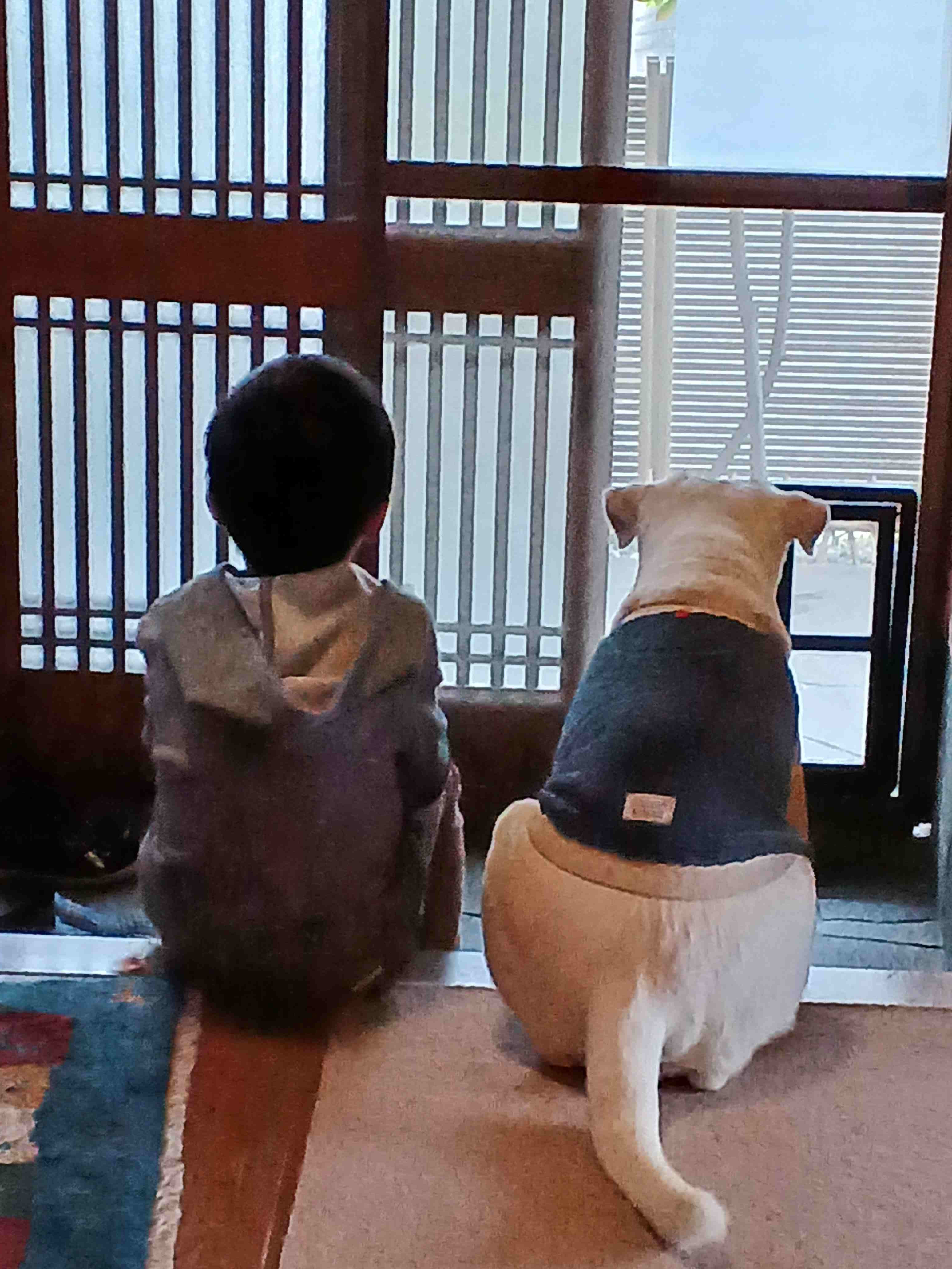 ひろ君とジョン