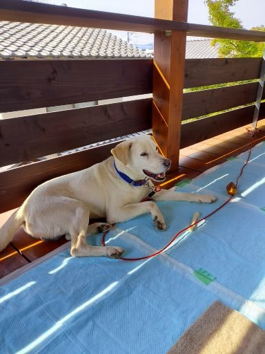 ジョンリード１