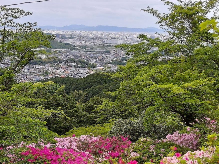 つつじと市内眺望