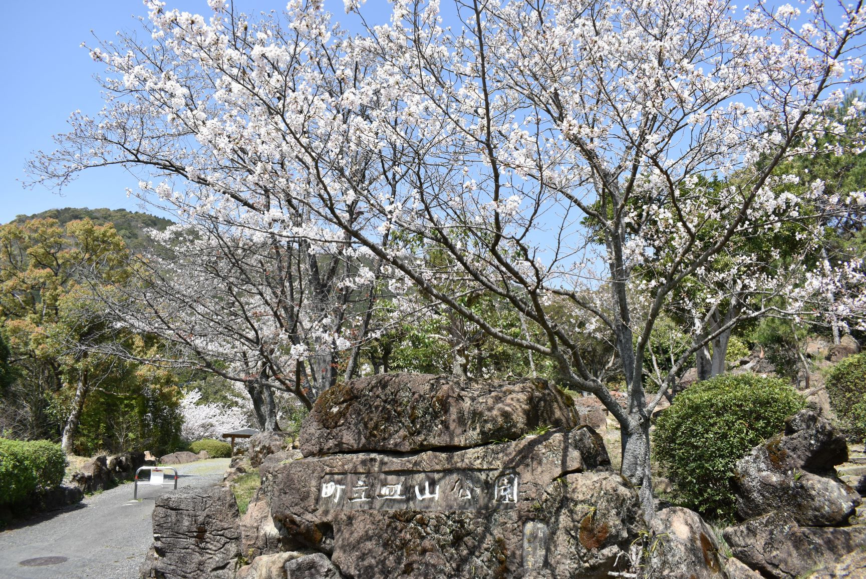皿山公園看板