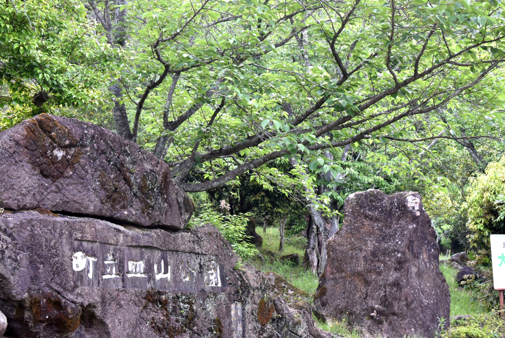 皿山公園看板